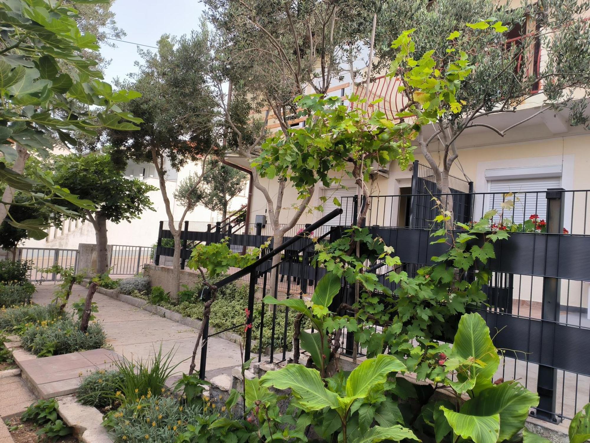 Apartments Orlic Povljana Exterior photo
